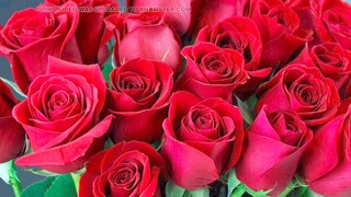 비디오 미리보기