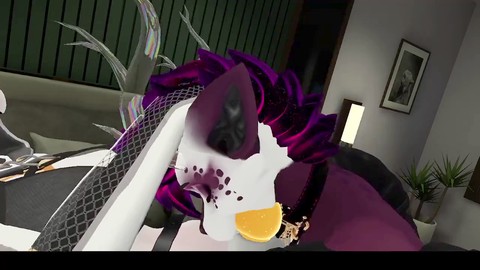 Pelosa, porno vr, vrchat