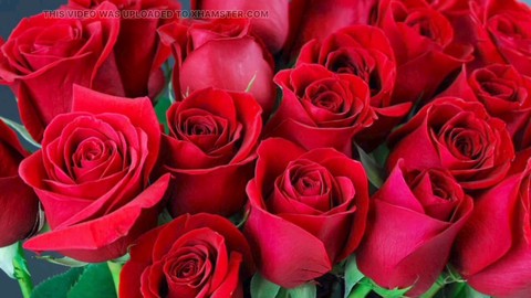 エロティカ, ストーリー, hd動画